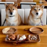 姓名判断:頭の良さはだれのおかげ1